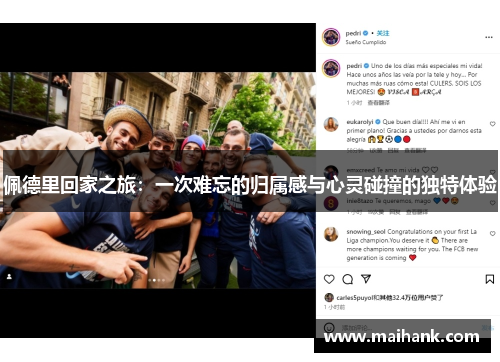 佩德里回家之旅：一次难忘的归属感与心灵碰撞的独特体验